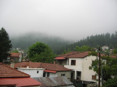 IMG_5844 (600 x 450).jpg