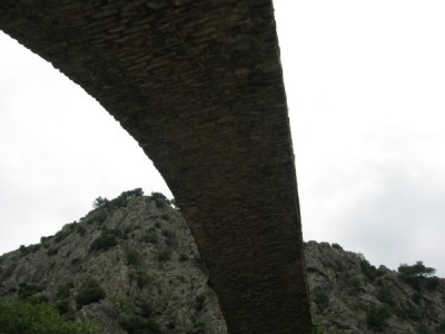 IMG_5723 (600 x 450).jpg