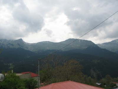 IMG_5765 (600 x 450).jpg