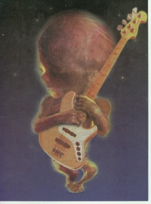 BABY BASS.jpg