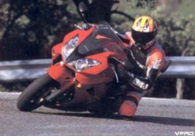 gallery_5462_1444_260500 (300 x 210).jpg