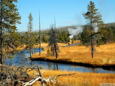 yellowstone-014.jpg