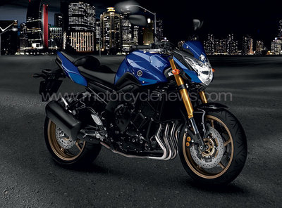 yamaha_fz8.jpg