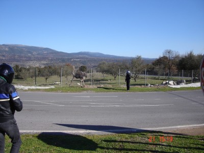 DSC04612 (1024 x 768).jpg