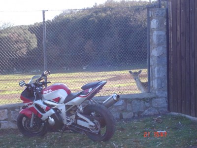DSC04620 (1024 x 768).jpg