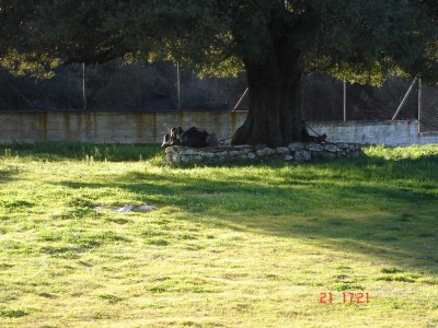 DSC04632 (1024 x 768).jpg