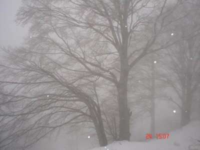 DSC02147.JPG