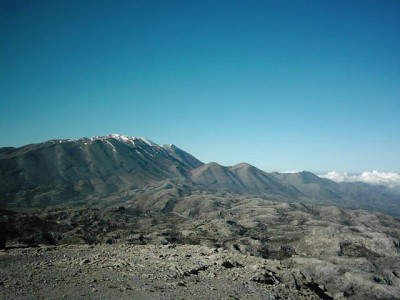IMG_0098.jpg