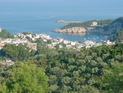 patitiri-view_from_villageroad_2_sm.jpg
