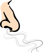 nose.gif