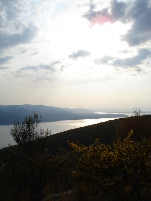Î‘Î½Ï„Î¯Î³ÏÎ±Ï†Î¿ Î±Ï€ÏŒ DSC00268.JPG