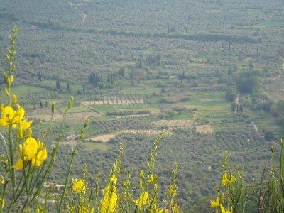 Î‘Î½Ï„Î¯Î³ÏÎ±Ï†Î¿ Î±Ï€ÏŒ DSC00269.JPG