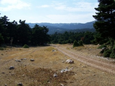 100_0735.JPG