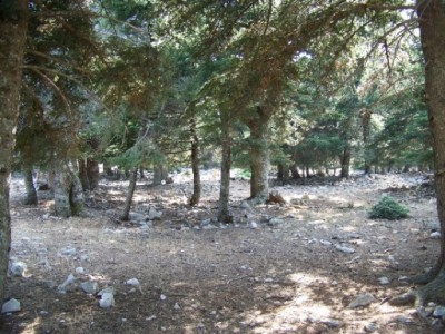 100_0742.JPG
