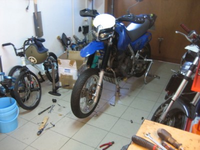 stand1.jpg