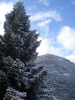 Î‘Î½Ï„Î¯Î³ÏÎ±Ï†Î¿ Î±Ï€ÏŒ DSC01613.JPG