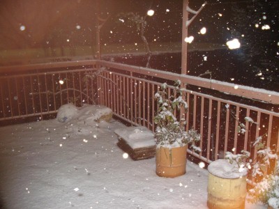 Î‘Î½Ï„Î¯Î³ÏÎ±Ï†Î¿ Î±Ï€ÏŒ DSC01604.JPG