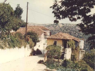 xorio14.jpg
