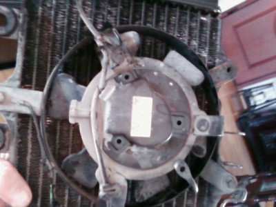 SP_A0018.jpg