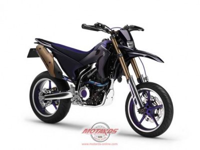 YamahaWR250XSpecialConcept_01.jpg